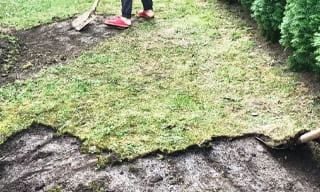 Снятие дерна старого газона в Славгороде – от 516 руб. | 2Землекопа-Слд